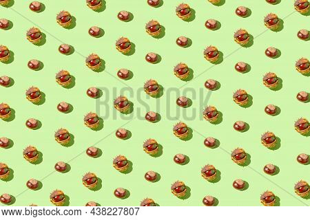 Creative Pattern Made Of Chestnuts On Sunlit Green Pastel Background. Nature Consept. Falll And Autu