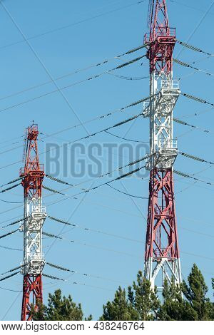 Towers Of Power Lines Above The Edges Of Trees.