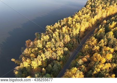 Road Turn In Autamn Forest Aerial Drone View