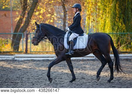 Teenage Girl Riding Horse On Equestrian Dressage Test In Autumn