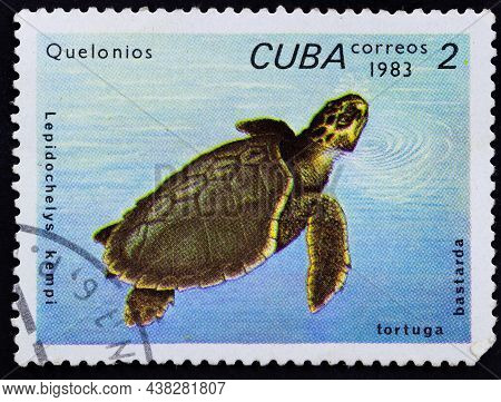 Republic Of Cuba - Circa 1983: Postage Stamp 'kemp's Ridley Sea Turtle - Lepidochelys Kempii' Printe