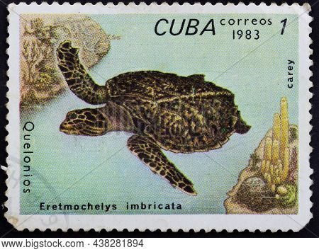 Republic Of Cuba - Circa 1983: Postage Stamp 'hawksbill Sea Turtle - Eretmochelys Imbricata' Printed