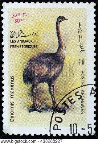 Afghanistan - Circa 1988: Postage Stamp 'moa - Dinornis Maximus' Printed In Afghanistan. Series: 'pr