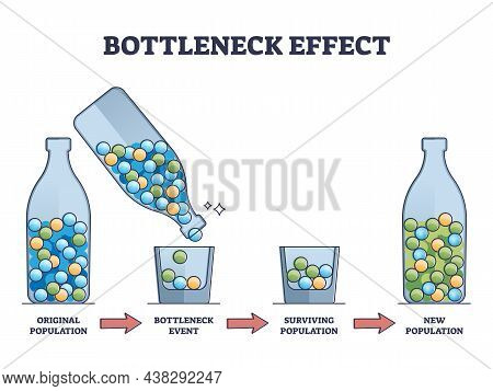 Bottleneck Effect On Genetic Drift And Population Impact Outline Diagram. Labeled Educational Mutati