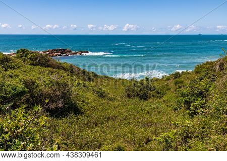 Beach View With Waves And Vegetation