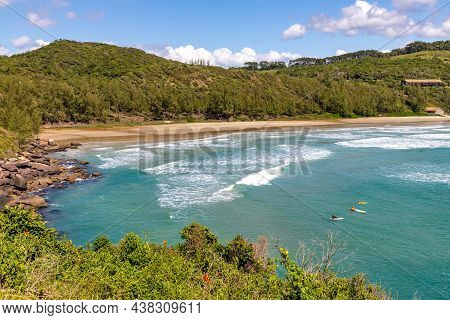 Beach View With Waves Surfers And Vegetation