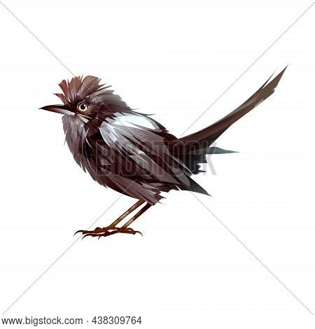 Drawn Colored Stylized Bird On A White Background