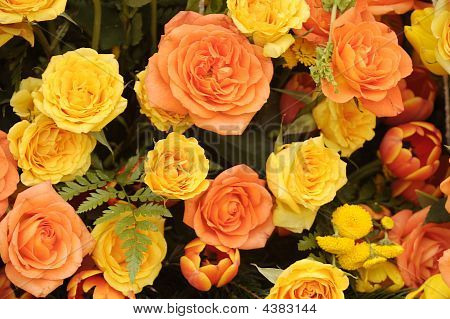 fiori