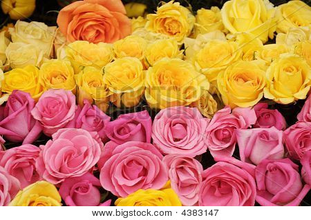 fiori