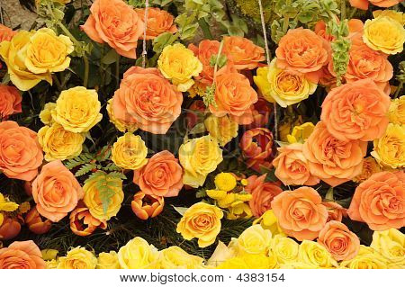 fiori
