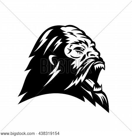 Mascot Illustration Of  Head Of Angry Bigfoot Or Sasquatch, An Ape-like Creature Purported To Inhabi