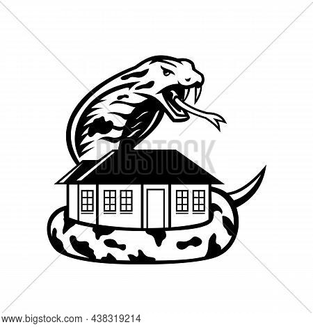 Mascot Illustration Of A King Cobra Or Ophiophagus Hannah A Venomous Snake Species Of Elapids Guardi