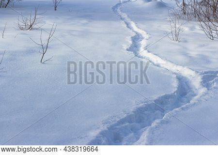 A Well-trodden Path Through The Fallen White Snow In Winter In A Field