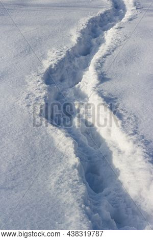 A Well-trodden Path Through The Fallen White Snow In Winter In A Field