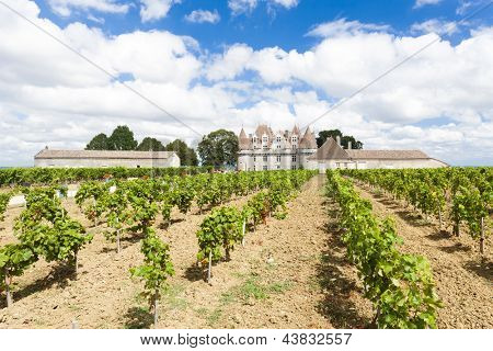 Monbazillac zamek z winnicy, Akwitanii, Francja
