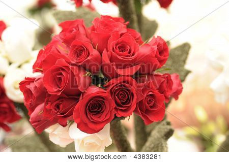 fiori