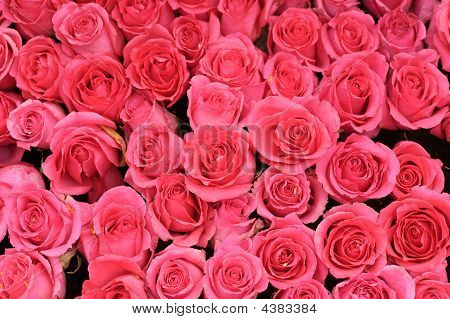 fiori