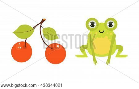 Green Frog And Cherry Berry On Branch Vector Set