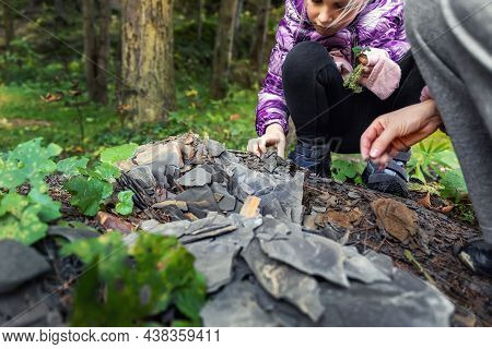 Little Kid Collecting And Exploring Dark Grey Shale Slate Natural Rock Fossil At Walk In Forest With
