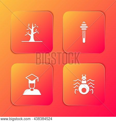 Set Bare Tree, Honey Dipper Stick, Graduate And Graduation Cap And Spider Icon. Vector