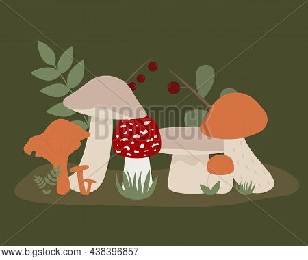 Illustration Of Different Growing Mushrooms With Berries And Grass On A Green Background