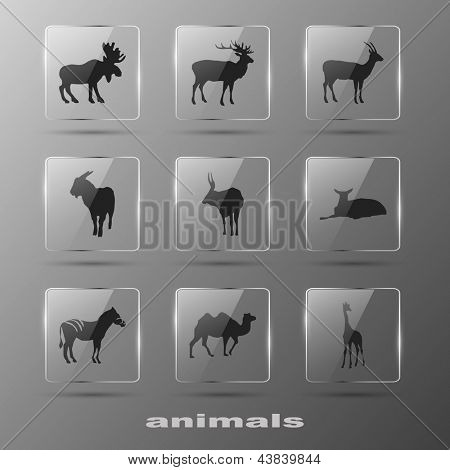 Elementos criativos - Animal. Conjunto de ícones. Eps10