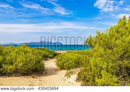 Path Thru Natural Coast Landscape Can Picafort Mallorca Spain.