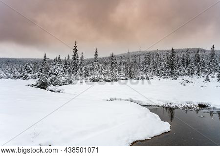Winter In Jizera Mountains. Snowy Landscape With Trees And Small Creek. Czech Republic
