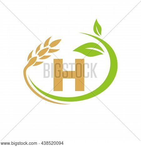 Agriculture Logo On H Letter Concept. Agriculture And Farming Logo Design. Agribusiness, Eco-farm An