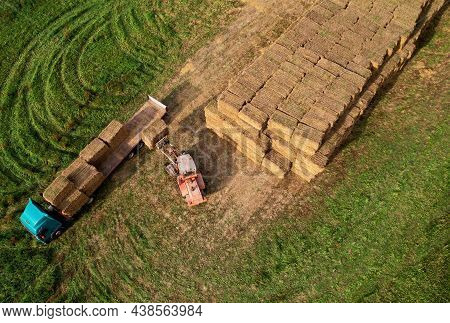 Farmer Unloading Round Bales Of Straw From Hay Trailer With A Front End Loader. Store Hay At Farm. H
