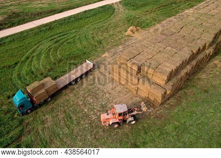 Farmer Unloading Round Bales Of Straw From Hay Trailer With A Front End Loader. Store Hay At Farm. H