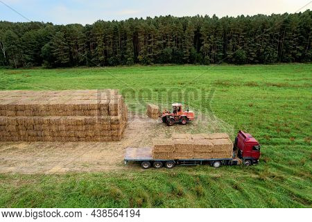 Farmer Unloading Round Bales Of Straw From Hay Trailer With A Front End Loader. Store Hay At Farm. H