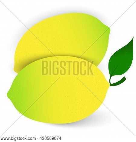 Colorful Lemon On White Background. Whole Lemon. Vector Illustration. Stock Image.