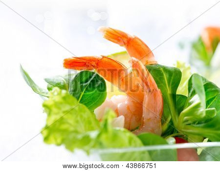 Garnaal Salade. Gezonde Garnalensla met gemengde greens en tomaten. Dieet. Gewicht verlies voedsel. Garnalen