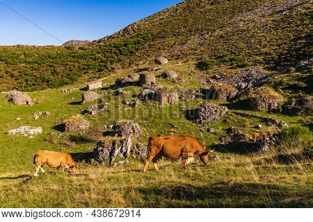 View Of The Sousas Valley In The Somiedo Natural Park In Asturias.