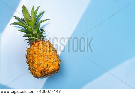 Fresh Pineapple In Water. Fresh Ripe Pineapples Floating In Pure Water In Swimming Pool. Hello Summb