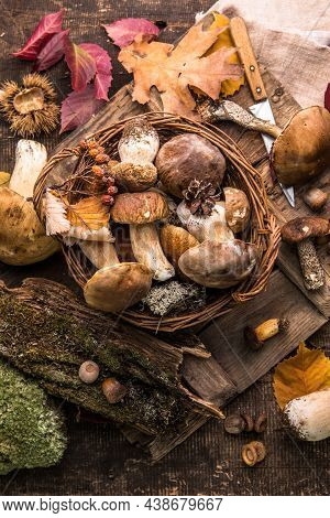 Forest Edible Mushrooms Close Up. Ceps Boletus Edulis Over Wooden Background, Rustic Table.forest Ed