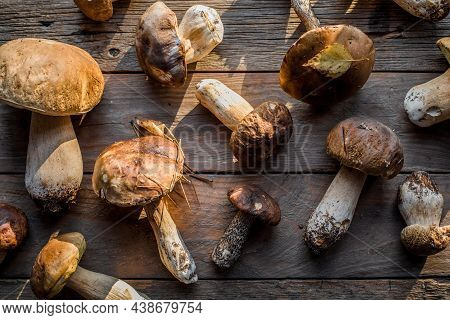 Forest Edible Mushrooms Close Up. Ceps Boletus Edulis Over Wooden Background, Rustic Table.