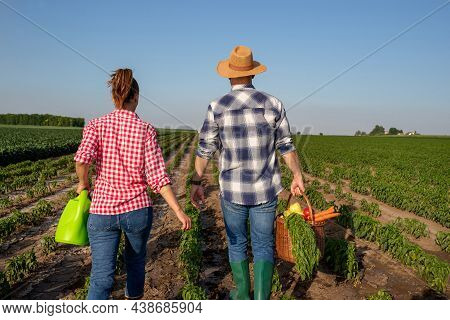 Female Farmer Carrying Watering Can Walking In Pepper Field. Young Male Farmer Wearing Straw Hat And