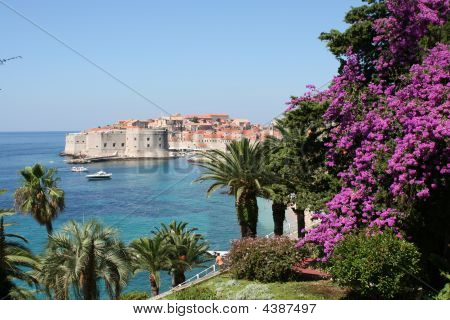 Perle af Adriaterhavet - Dubrovnik