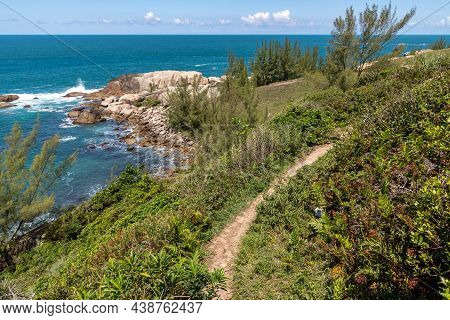 Trail With Rocks, Waves, Sand, Vegetation And Pine Trees