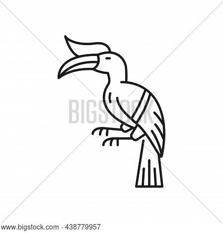 Tucan Bird Line Art Drawing, Tropical Bird With Massive Bill Isolated Linear Icon. Vector Hand Drawn