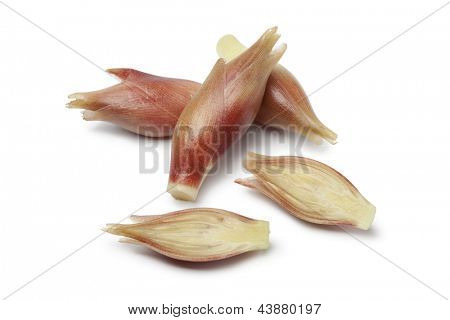  전체 및 절반 신선한 생강 싹 흰색 바탕에