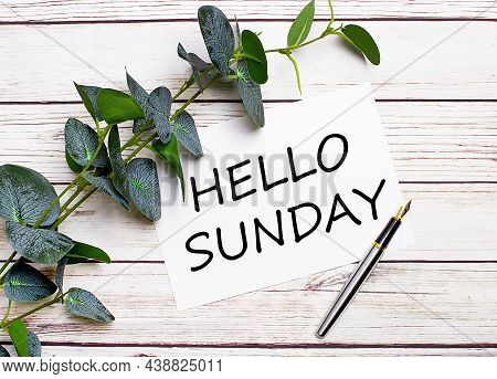 On A Light Wooden Table, There Is A Eucalyptus Branch, A Fountain Pen And A Sheet Of Paper With The 