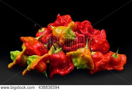 Pile Of Chili Peppers, Capsicum Baccatum Or Christmas Bell Chili, Isolated On Black Background
