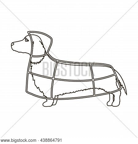 Dachshund Vector Icon.outline Vector Icon Isolated On White Background Dachshund.