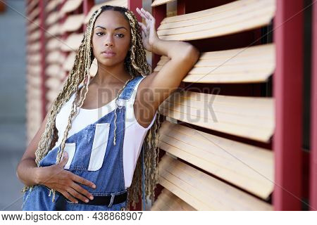 Black Female With Coloured Braids. Typical African Hairstyle.