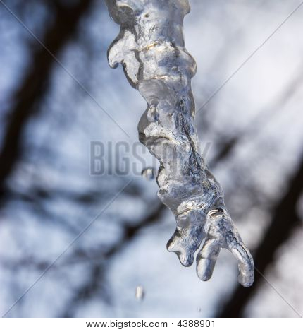 Icicle