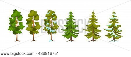 Cartoon Tree At Different Times Of Year. Pine And Spruce Seasonal Tree For Game Scenes. Green Planti