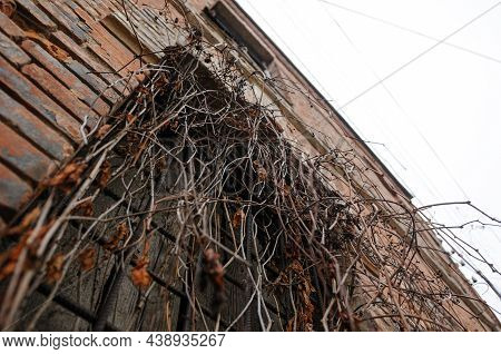 Old Abandoned Mansion In Vinnytska Region Ukraine